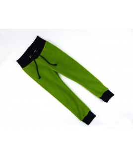 Le déguisement de dinosaure