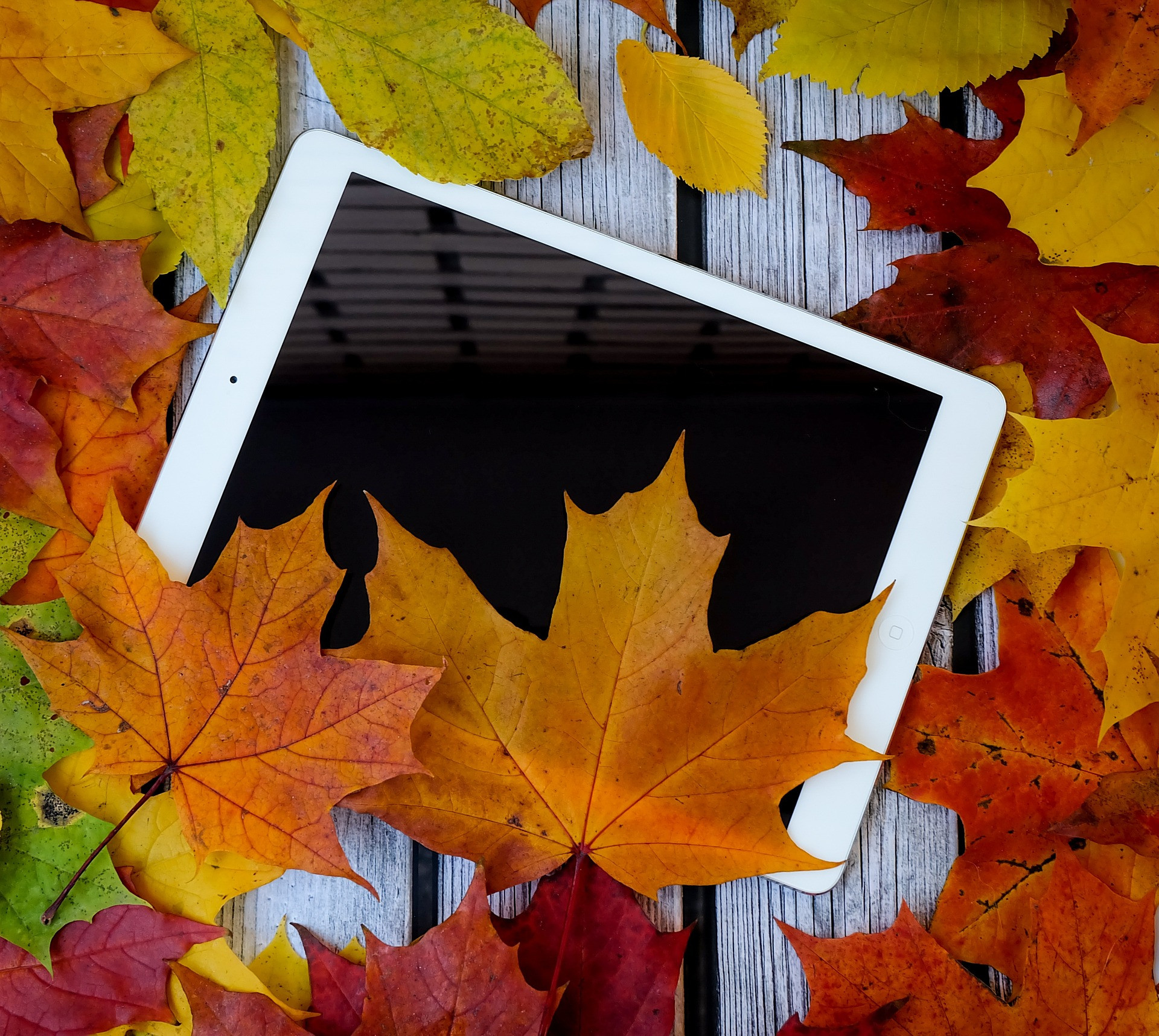 Les patrons de couture de l'automne
