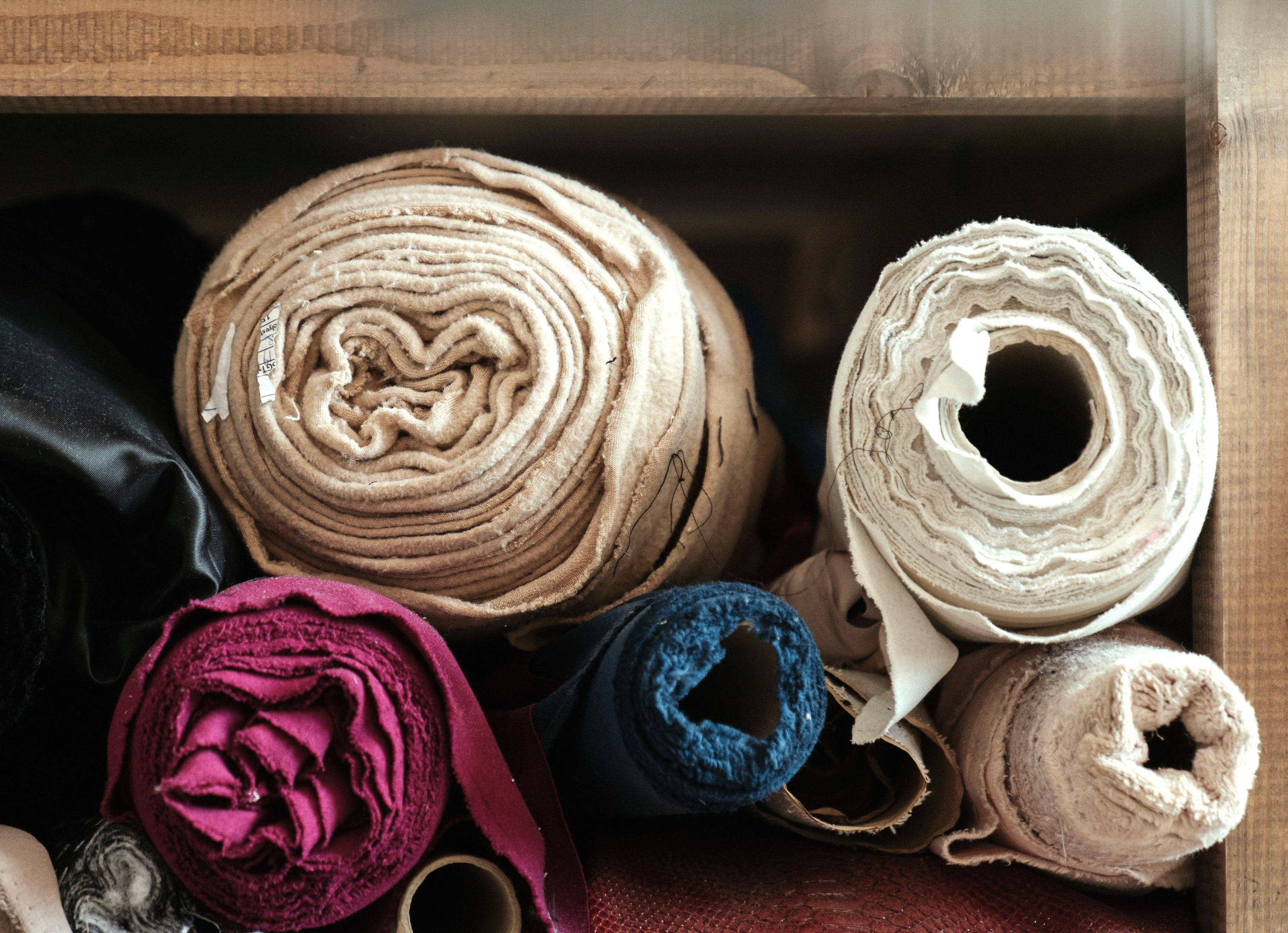 Les tissus biologiques